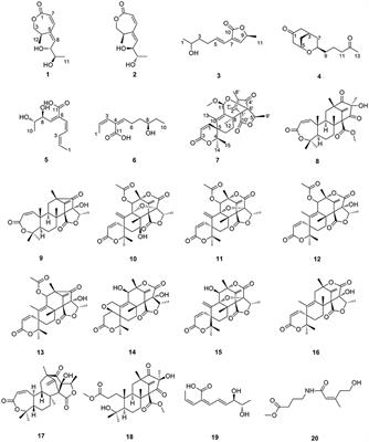 Bioactive polyketides and meroterpenoids from the mangrove-derived fungus Talaromyces flavus TGGP35